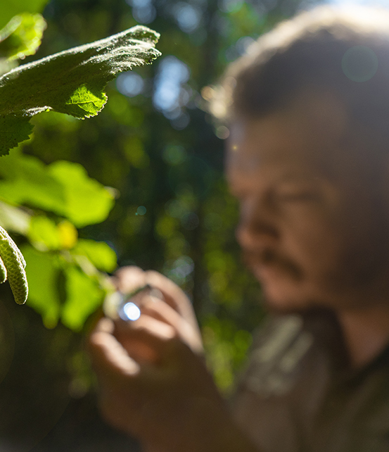 Soporte técnico especializado