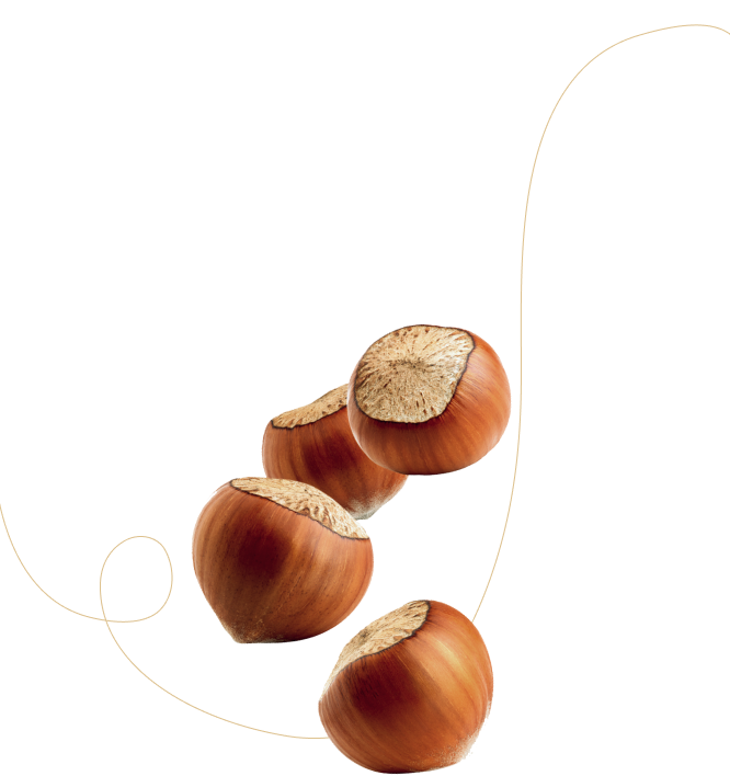 hazelnuts partnership image