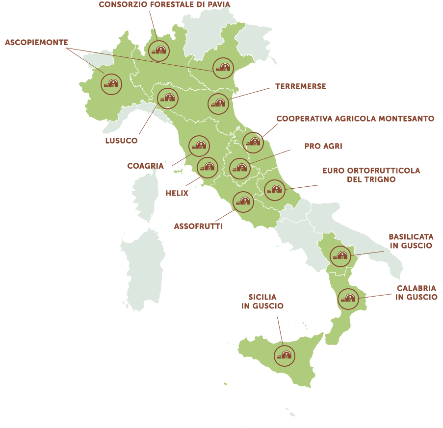 Infografica - LA COLTIVAZIONE DI NOCCIOLE IN ITALIA