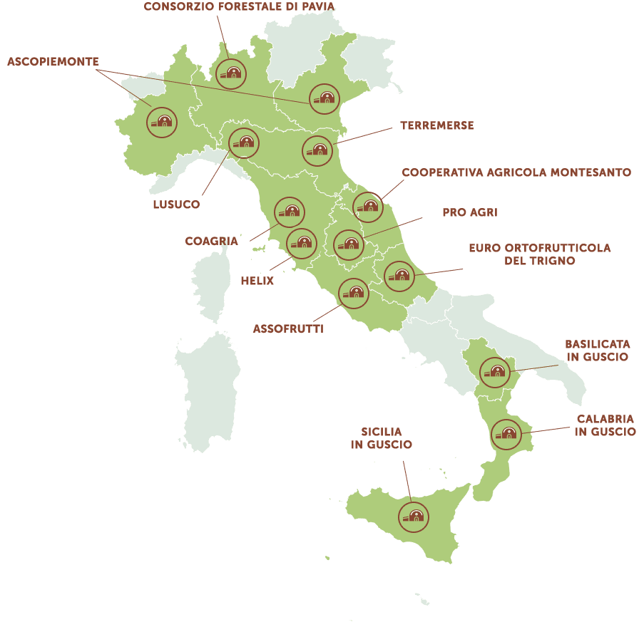 Infografica - LA COLTIVAZIONE DI NOCCIOLE IN ITALIA Infografica - LA COLTIVAZIONE DI NOCCIOLE IN ITALIA