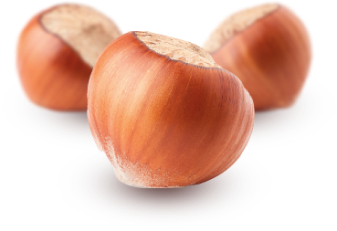 Hazelnuts calibration process