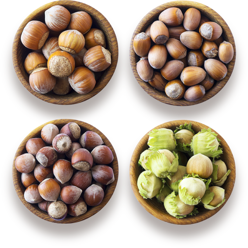 different-hazelnuts-varieties