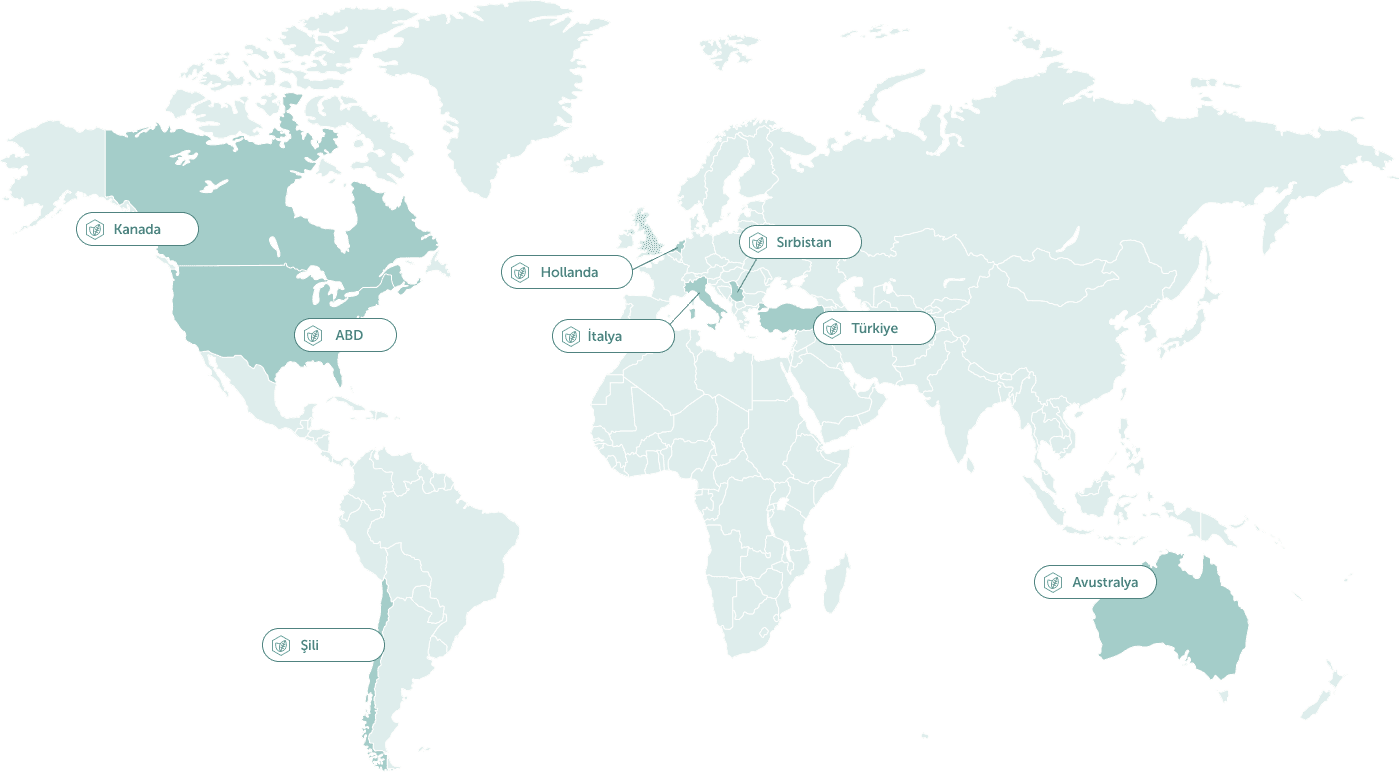 ARAŞTIRMA ORTAKLARI dekstop map